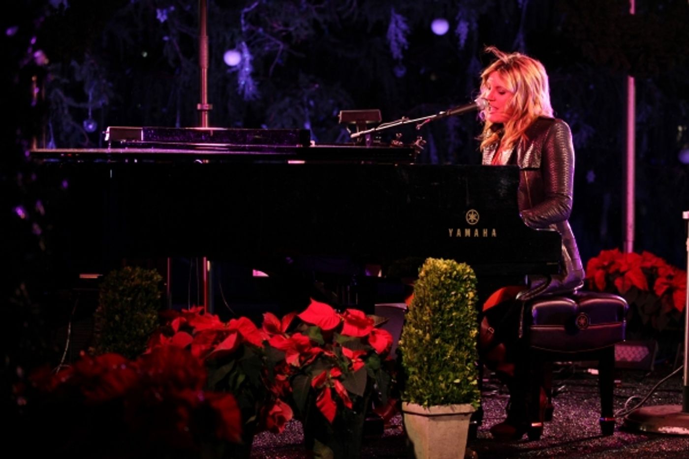 Photo Coverage: Bryant Park's Citi Pond Holiday Tree Lighting Ceremony  Image