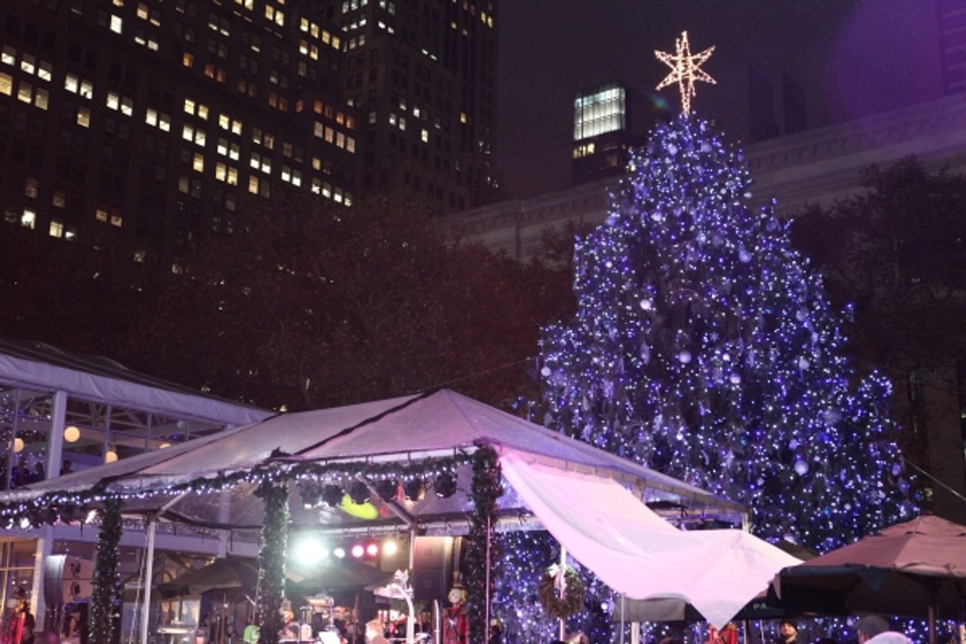 Photo Coverage: Bryant Park's Citi Pond Holiday Tree Lighting Ceremony  Image