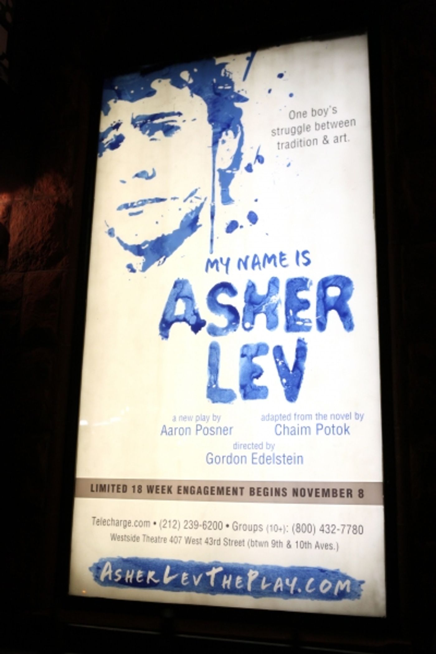 Photo Coverage: MY NAME IS ASHER LEV's Opening Night Curtain Call!  Image