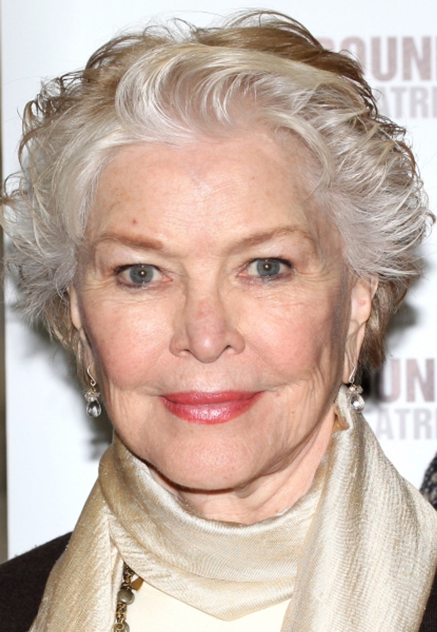 Photo Coverage: Meet the Cast of PICNIC- Sebastian Stan, Maggie Grace and More!  Image