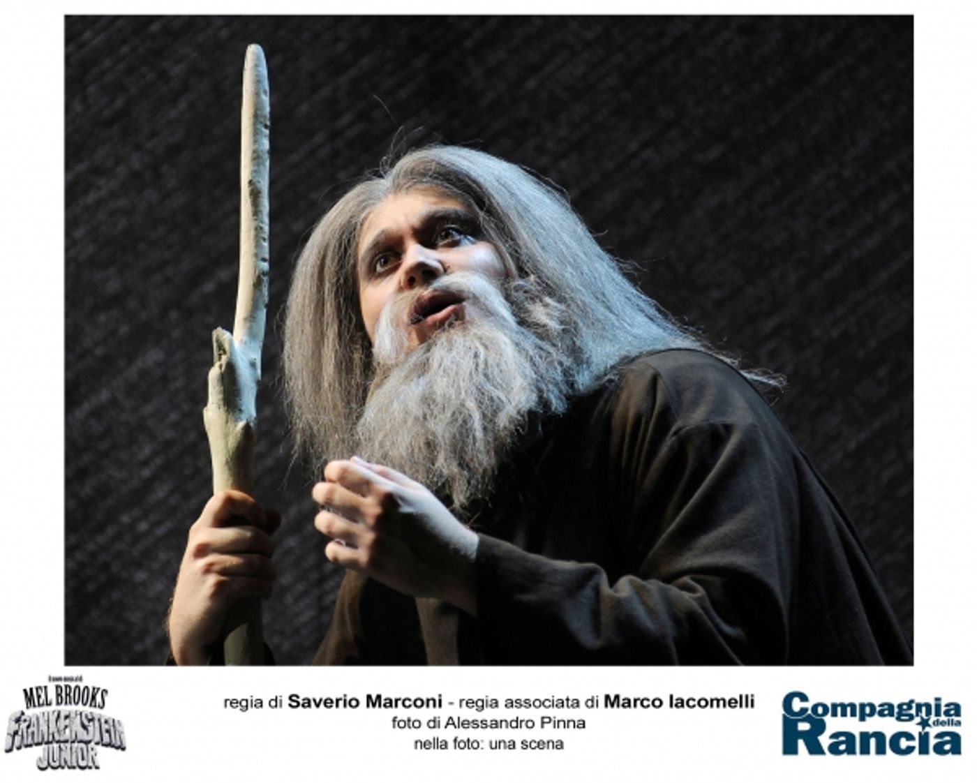 Photo Coverage: Frankenstein Junior  Image