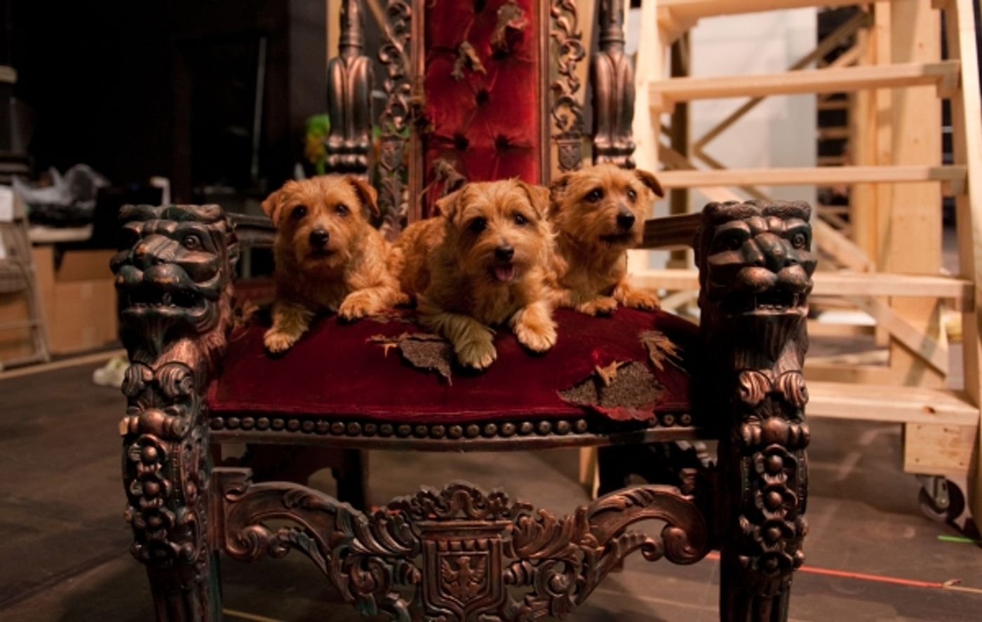 Photo Coverage: Sneak Peek at Toronto's All-Canadian WIZARD OF OZ  Image