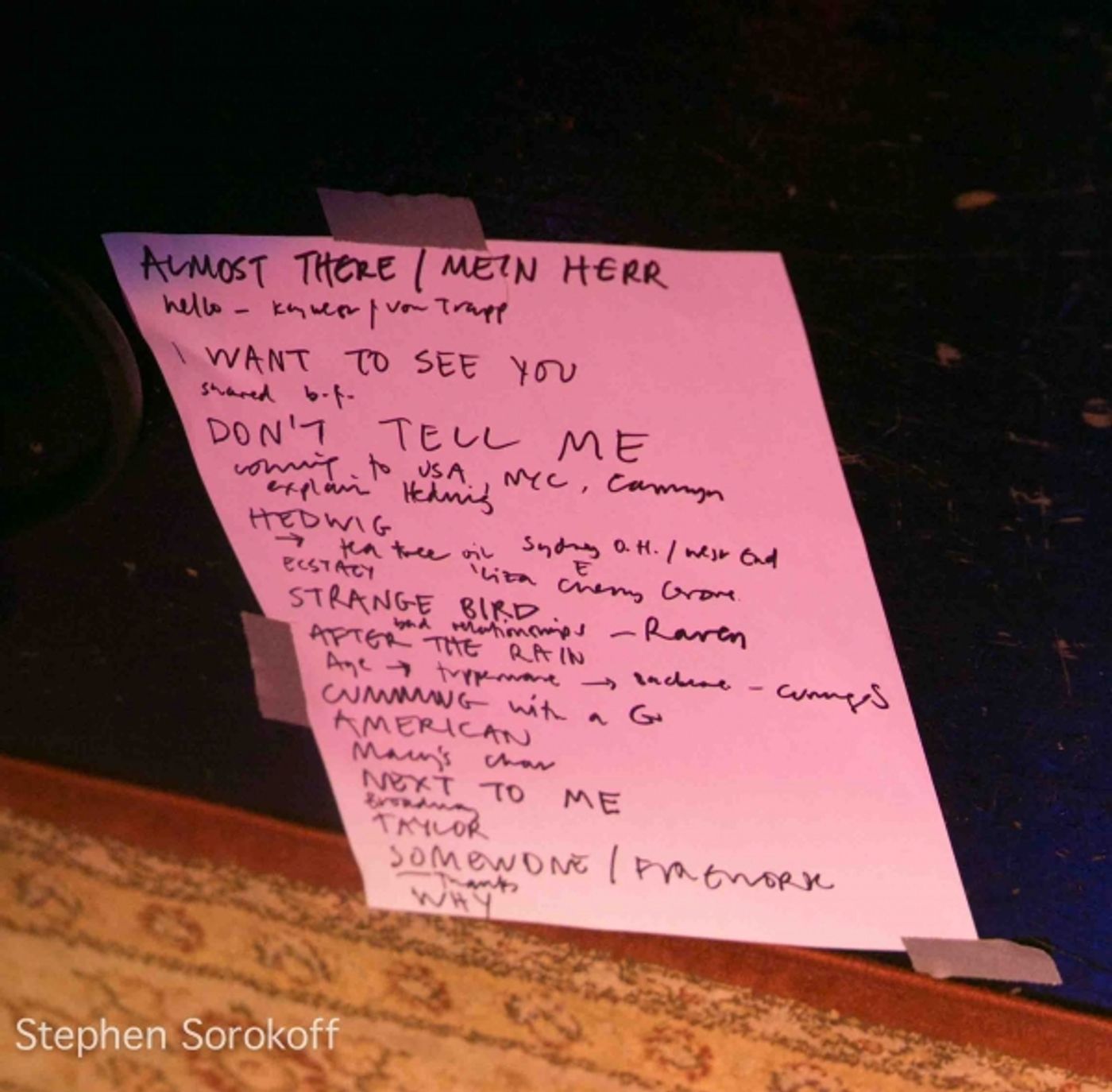 Photo Coverage: Alan Cumming Plays Helsinki Hudson  Image