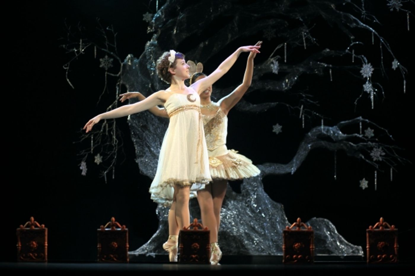 Photo Flash: First Look at Chase Brock's Adaptation of THE NUTCRACKER at Flat Rock Playhouse!  Image