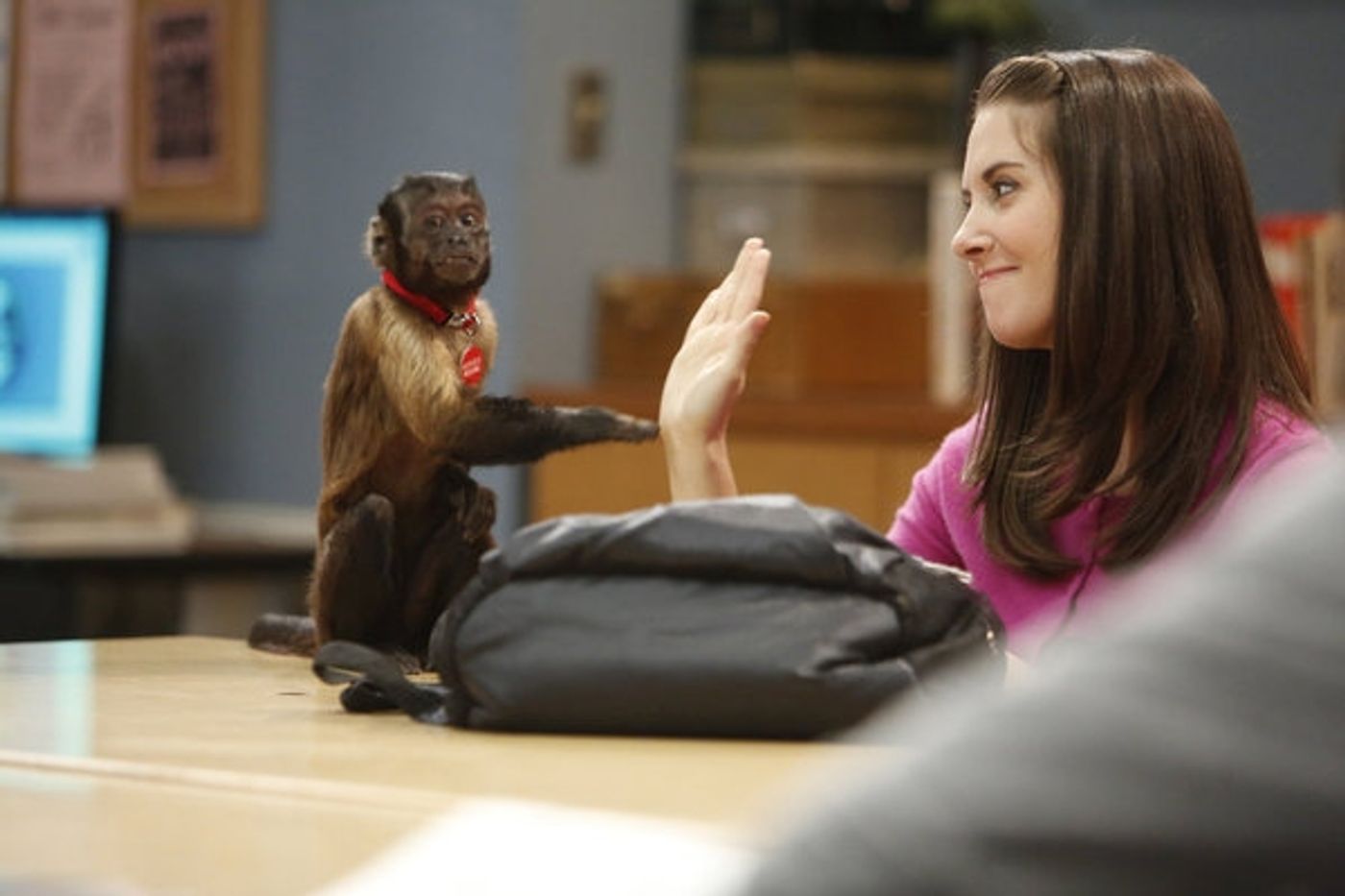Photo Flash: First Look at COMMUNITY's Return! Fourth Season to Premiere Feb. 7  Image