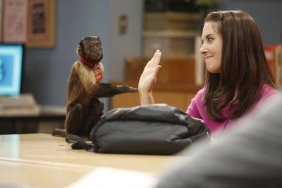 Alison Brie Photo