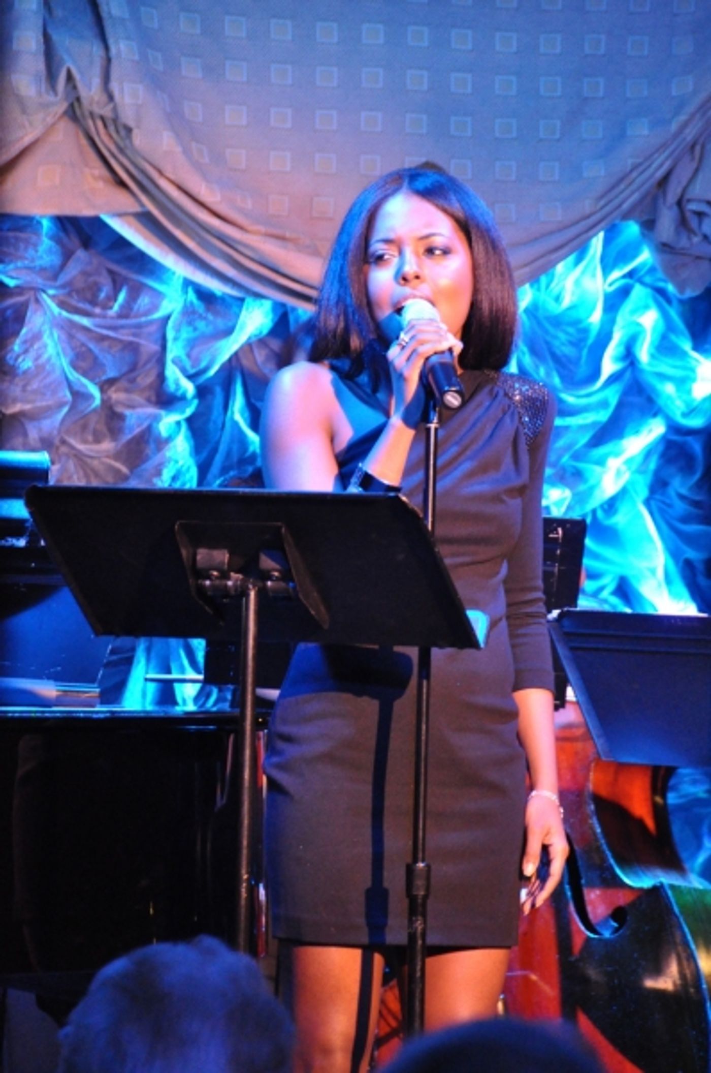 Photo Coverage: Norm Lewis, Ann Hampton Callaway and More at MY GIFT OF THANKS Actors Fund Benefit  Image