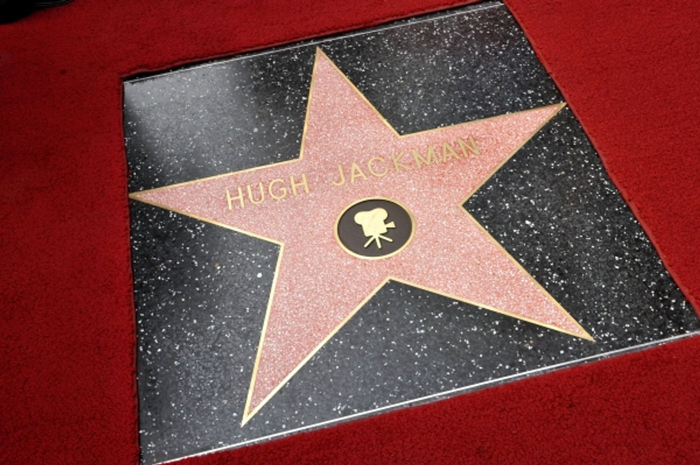 Photo Flash: Hugh Jackman Honored with Star on Hollywood Walk of Fame Photo Flash: Hugh Jackman Honored with Star on Hollywood Walk of Fame Image