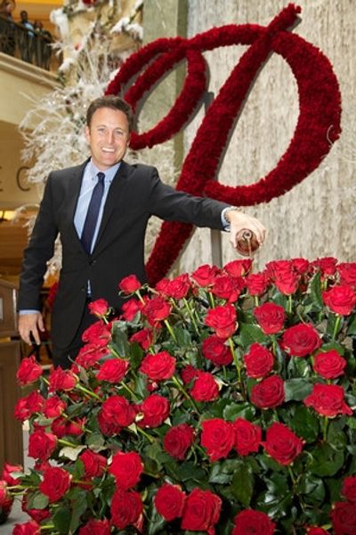 Chris Harrison Photo