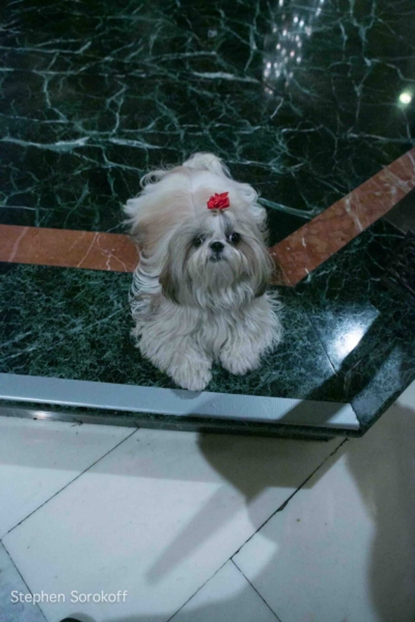 Photo Coverage: Jamie deRoy & Residents Perform at Alwyn Court  Image