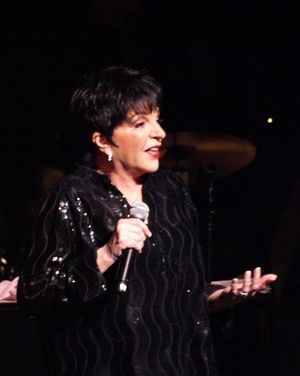 Liza Minnelli Photo