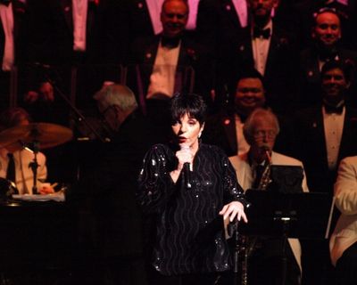 Liza Minnelli and MenAlive Photo