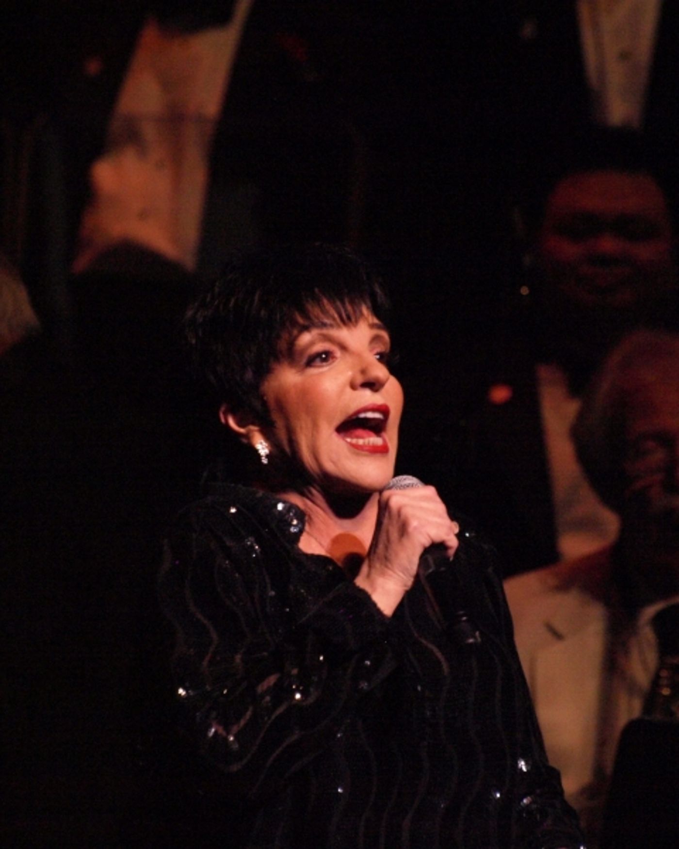 Photo Coverage: Liza Minnelli with MenAlive in A WINTER SPECTACULAR Opening Night at Segerstrom Hall  Image