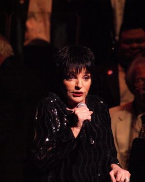 Liza Minnelli @ BroadwayWorld Liza Minnelli Photo