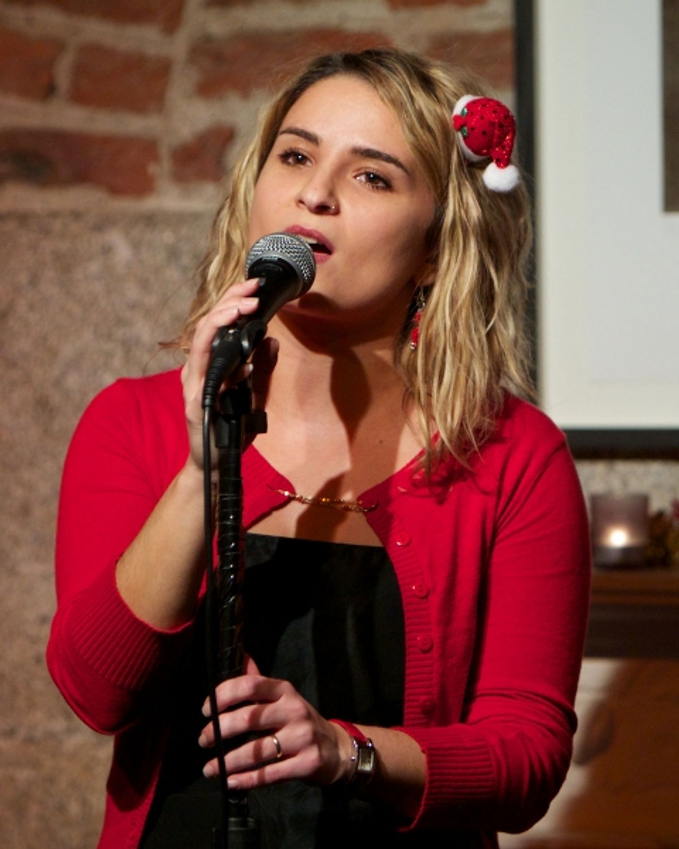Photo Flash: Break-Away Project's Evening of Stories, Music & Mulled Wine  Image