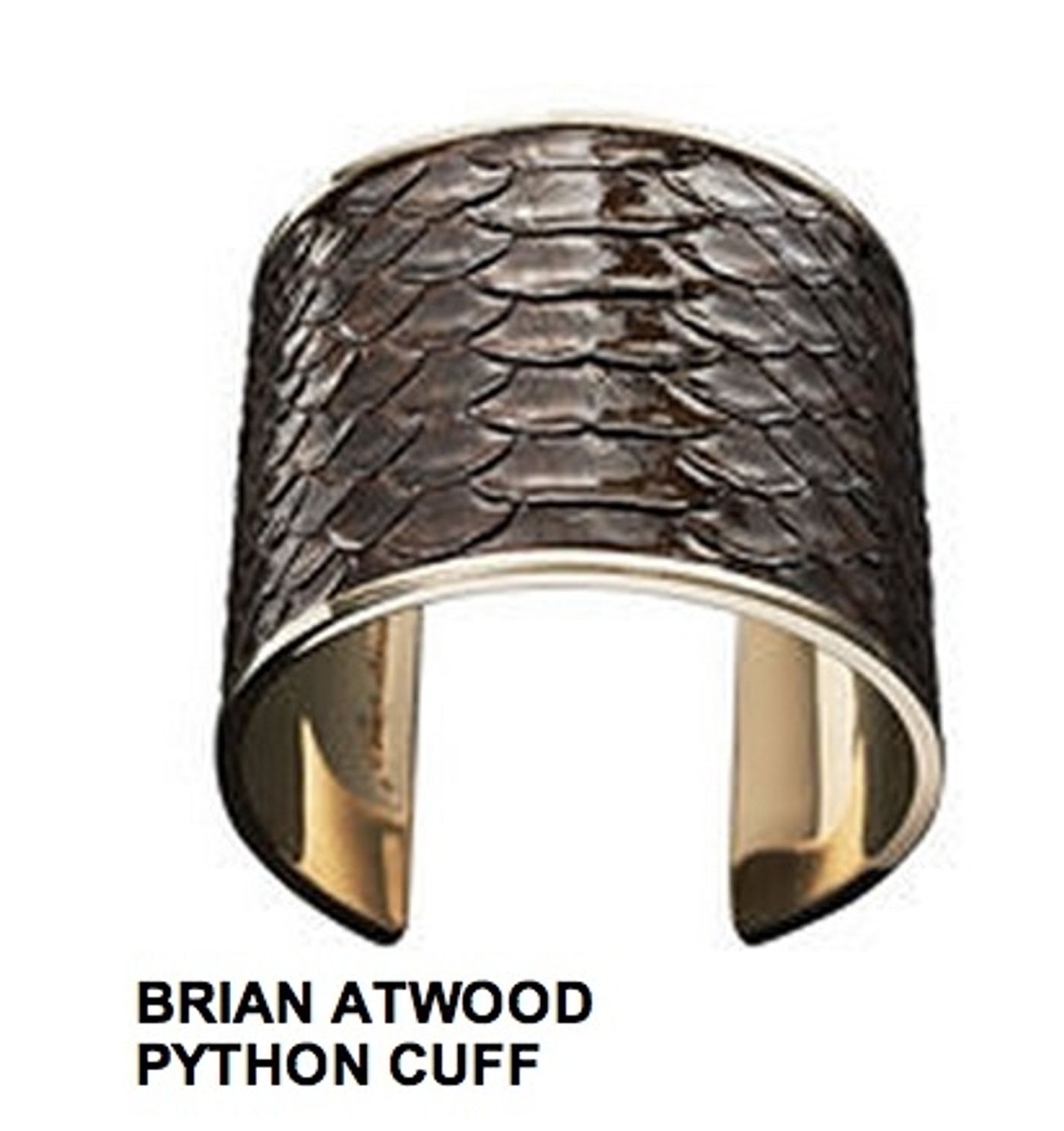 Photo Coverage: Brian Atwood Jewelry Debut  Image