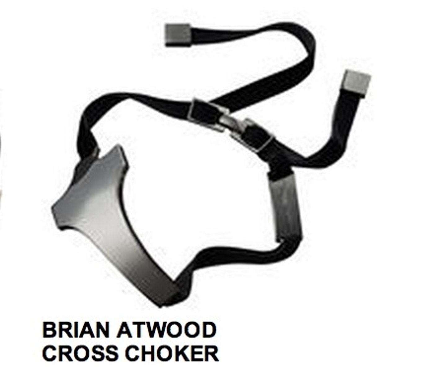 Photo Coverage: Brian Atwood Jewelry Debut  Image