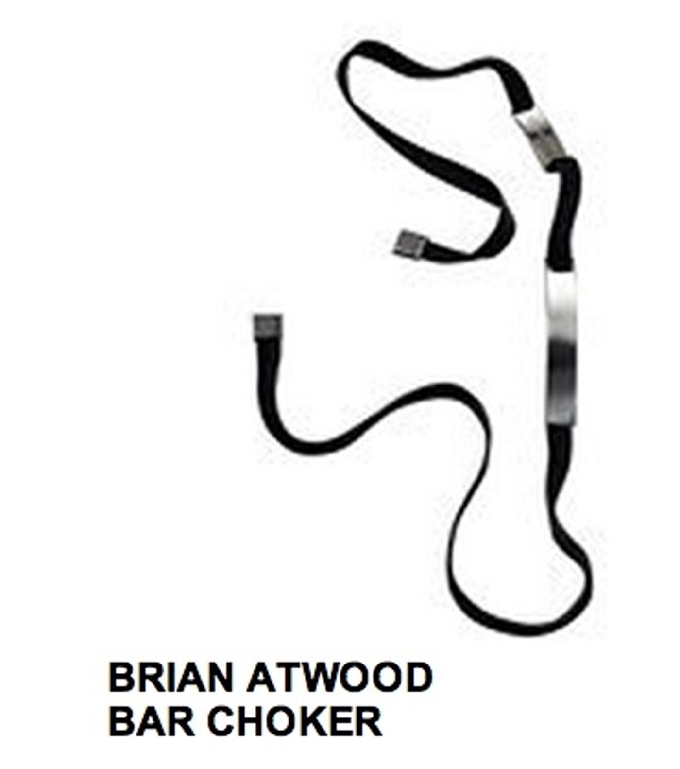 Photo Coverage: Brian Atwood Jewelry Debut  Image