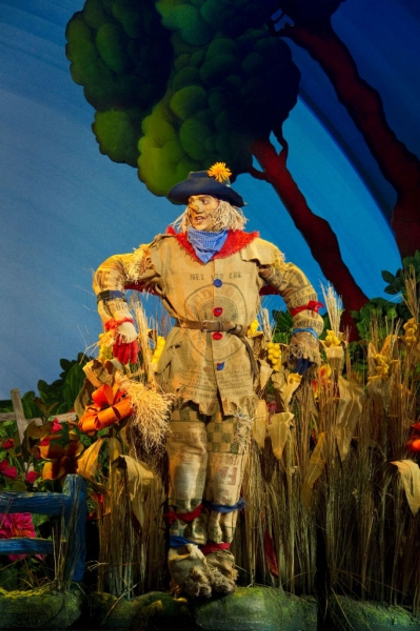 Photo Flash: First Look at Danielle Wade, Lee MacDougall and More in Toronto's North American Premiere of THE WIZARD OF OZ  Image