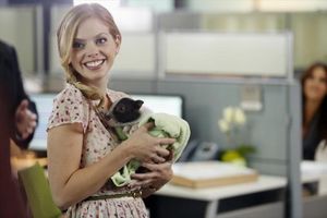 DREAMA WALKER @ BroadwayWorld DREAMA WALKER Photo