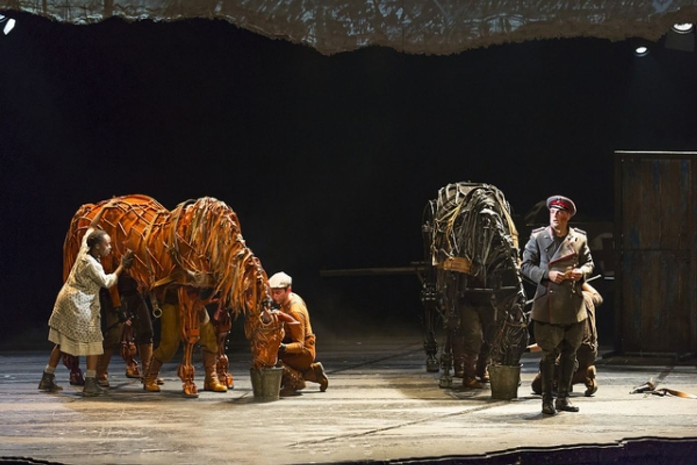Photo Flash: First Look at Andrew Veenstra, Angela Reed and More in US National Tour of WAR HORSE  Image