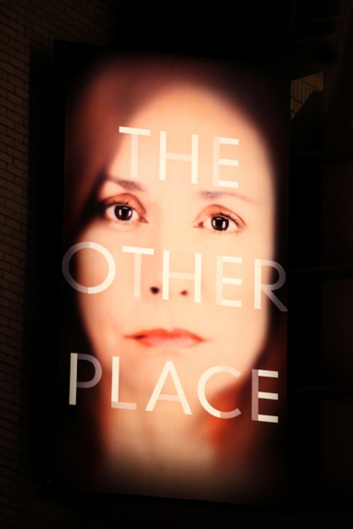 Photo Coverage: Inside Opening Night of THE OTHER PLACE- The Curtain Call! Image