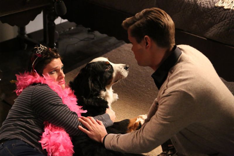 Photo Flash: THE NEW NORMAL's 'Stay-at-Home Dad' — photo 7 of 11