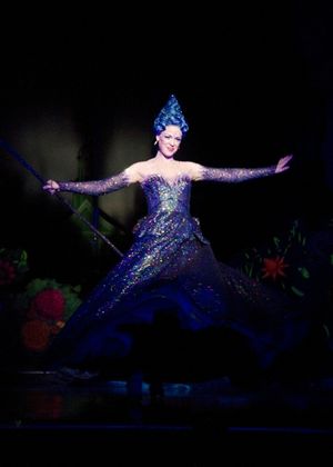 Robin Evan Willis Photo