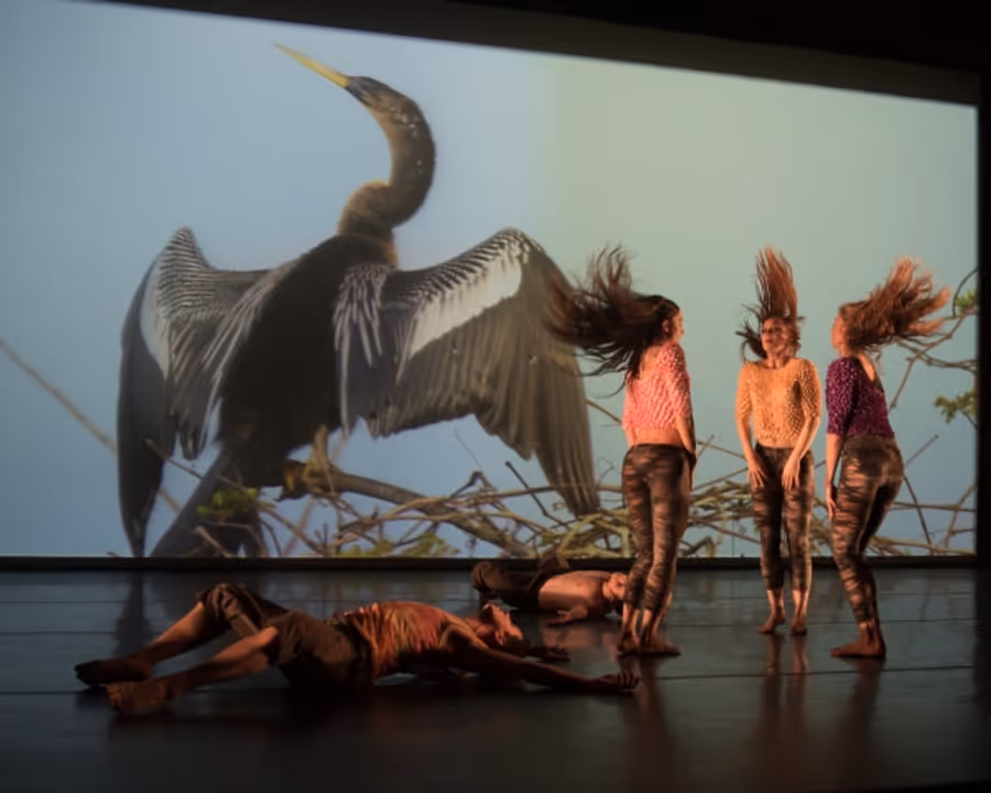 Photo Flash: First Look at PARSONS DANCE at the Joyce Theater Image