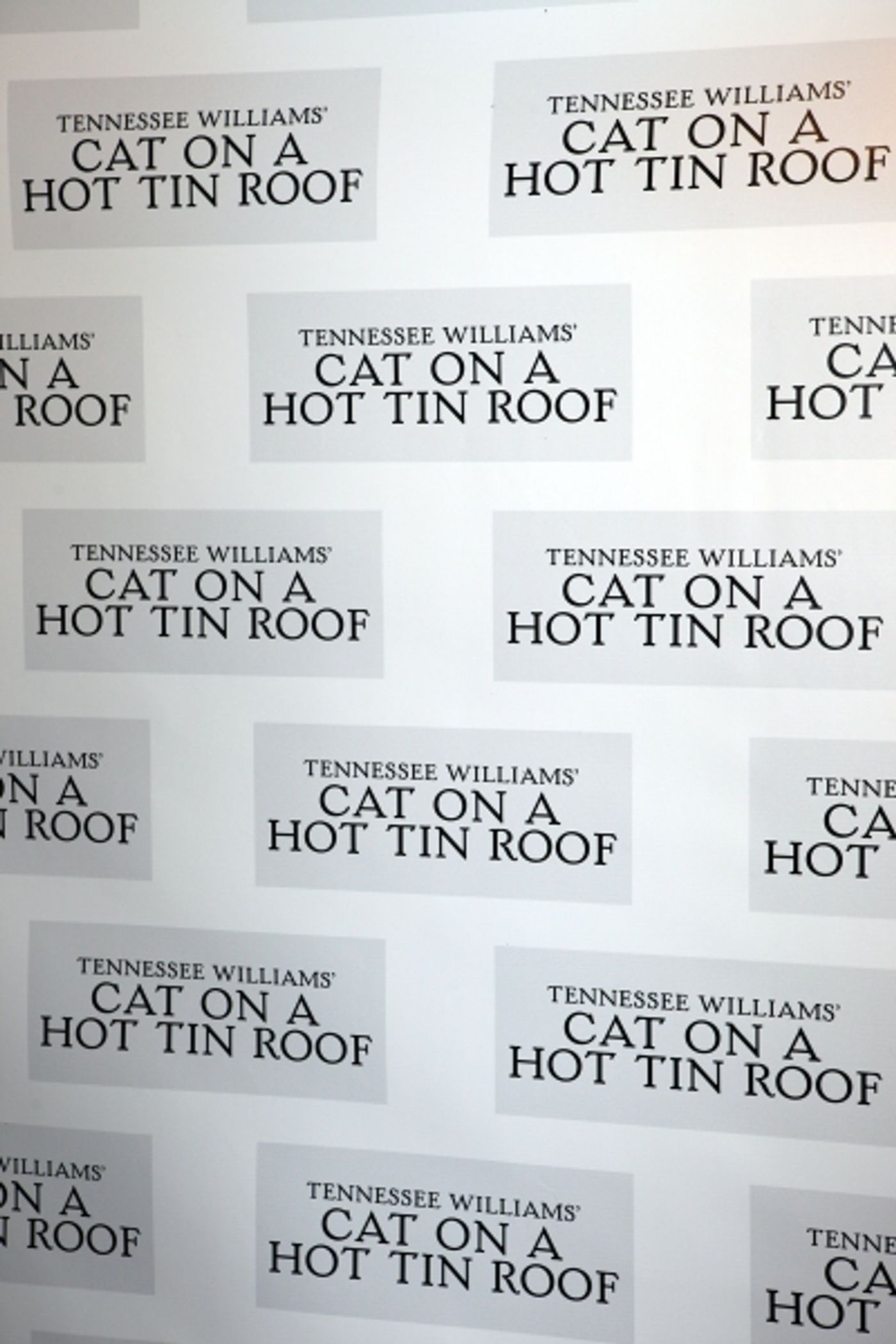 Photo Coverage: CAT ON A HOT TIN ROOF Opening Night Party! Image