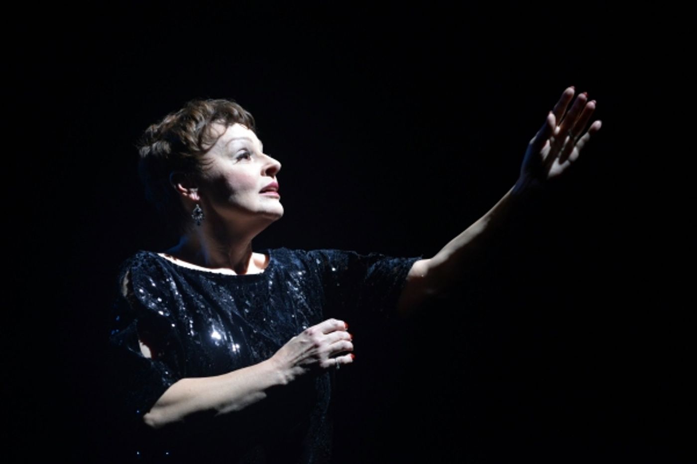 Photo Flash: First Look at Marriott Theatre's NOW & FOREVER: THE MUSIC OF ANDREW LLOYD WEBBER  Image