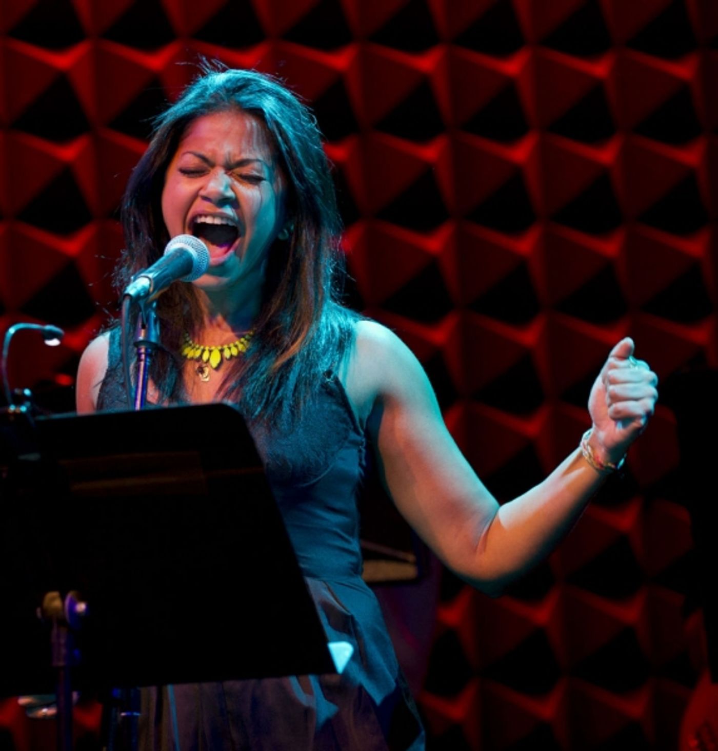 Photo Flash: First Look at Tony Vincent, Jeremy Morse, Rebecca Naomi Jones and More in JUNK: A ROCK OPERA  Image