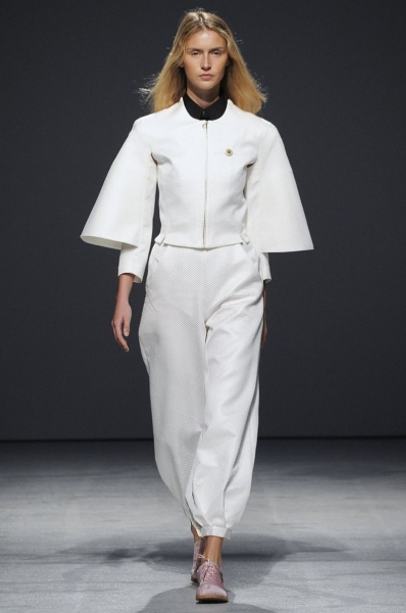 Photo Coverage: Aganovich S/S 2013 Collection Preview  Image