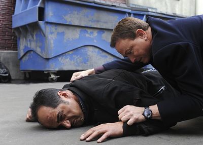 Gary Sinise, Navid Negahban Photo
