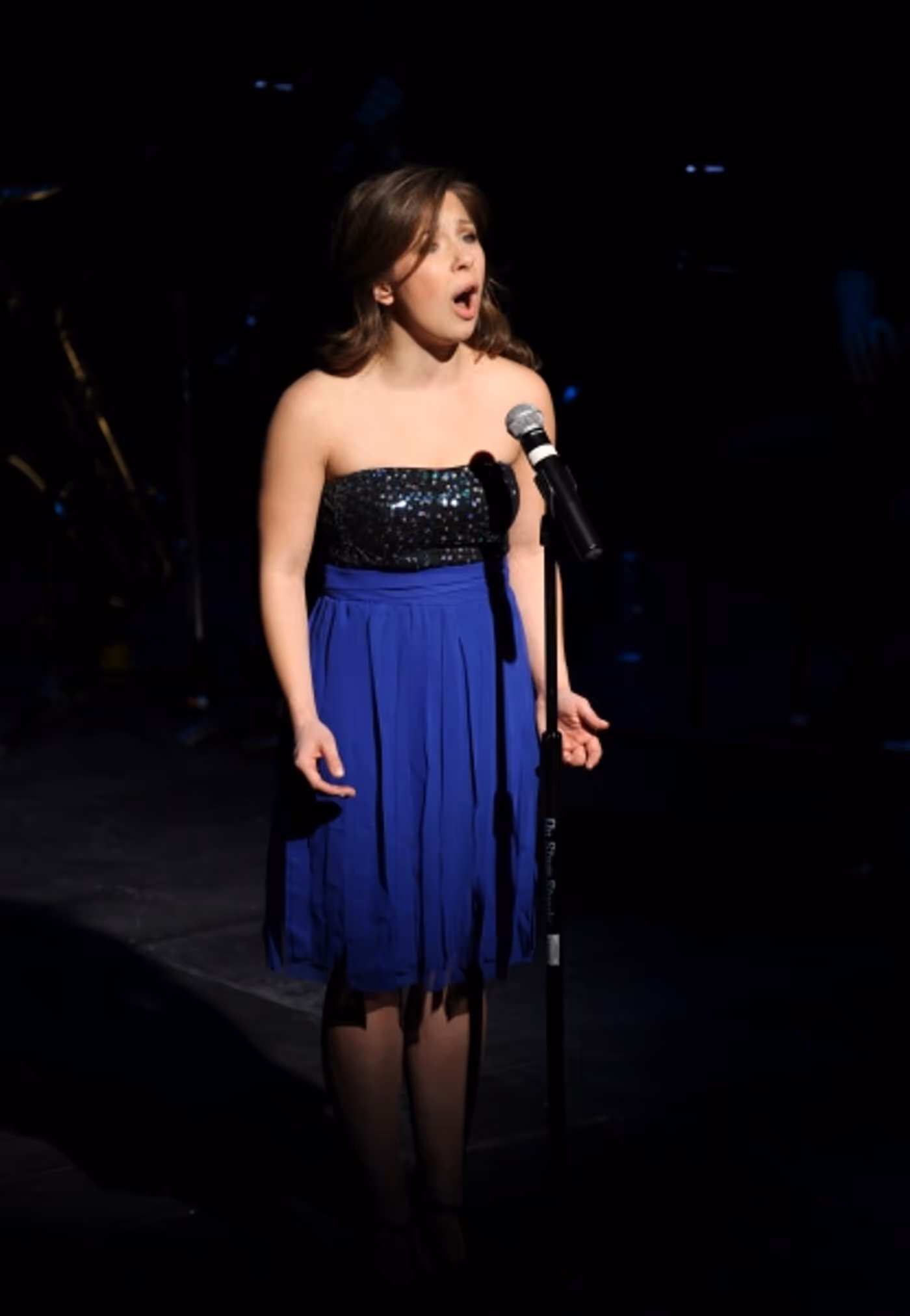 Photo Coverage: Elizabeth Stanley, Robin De Jesus and More Perform at THE DIRECTORY OF CONTEMPORARY THEATRE WRITERS Concert  Image