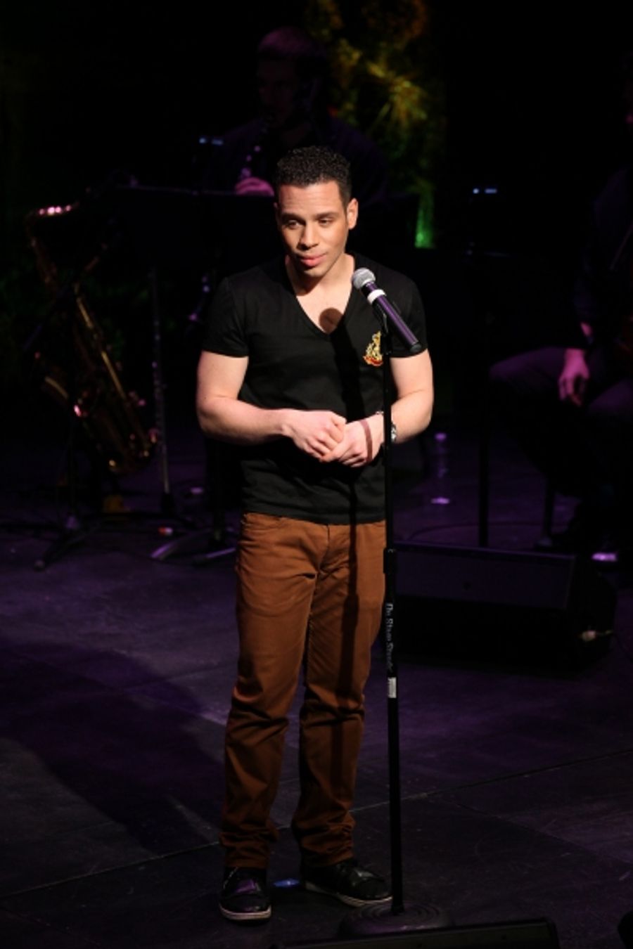 Photo Coverage: Elizabeth Stanley, Robin De Jesus and More Perform at THE DIRECTORY OF CONTEMPORARY THEATRE WRITERS Concert Image