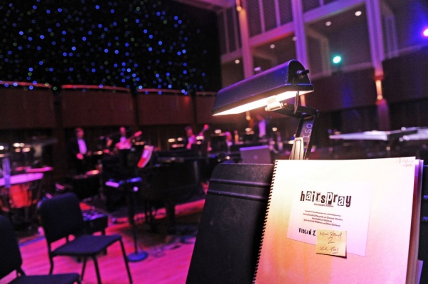 Photo Flash: First Look at Marissa Perry, Micky Dolenz, Beth Leavel and More in HAIRSPRAY: IN CONCERT!  Image