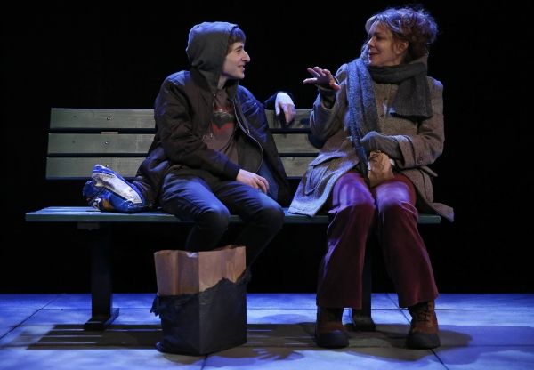 Photo Flash: First Look at Deirdre O'Connell and More in The Flea's THE VANDAL World Premiere — photo 1 of 5