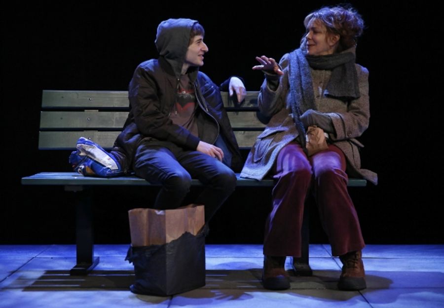 Photo Flash: First Look at Deirdre O'Connell and More in The Flea's THE VANDAL World Premiere Image