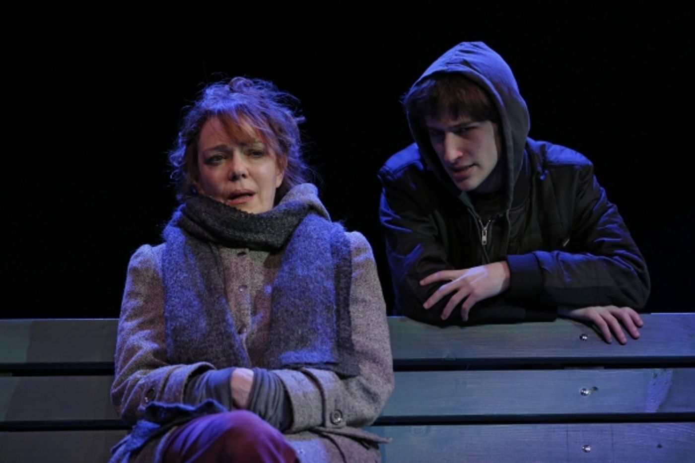 Photo Flash: Deirdre O'Connell and More Star in The Flea's THE VANDAL World Premiere, Opening Tonight  Image