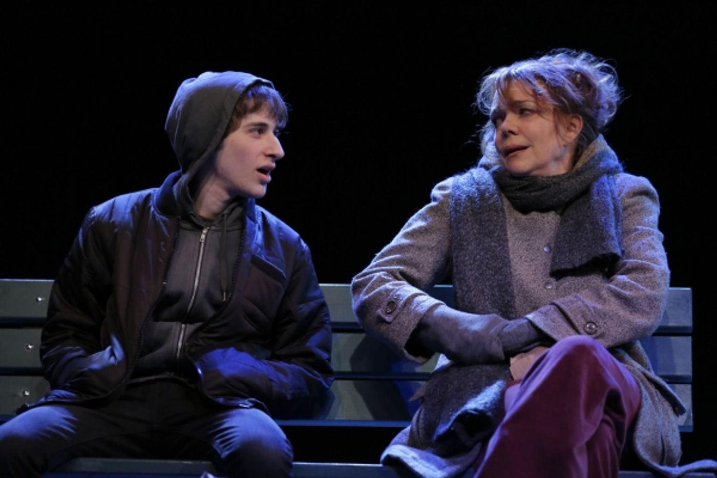 Photo Flash: Deirdre O'Connell and More Star in The Flea's THE VANDAL World Premiere, Opening Tonight  Image