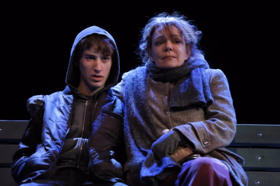 Photo Flash: First Look at Deirdre O'Connell and More in The Flea's THE VANDAL World Premiere Image