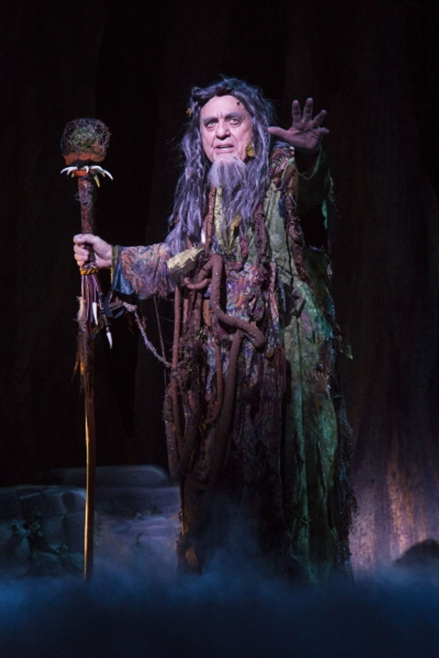 Photo Flash: First Look at Robert Petkoff, Tony Sheldon and More in TUTS' CAMELOT  Image