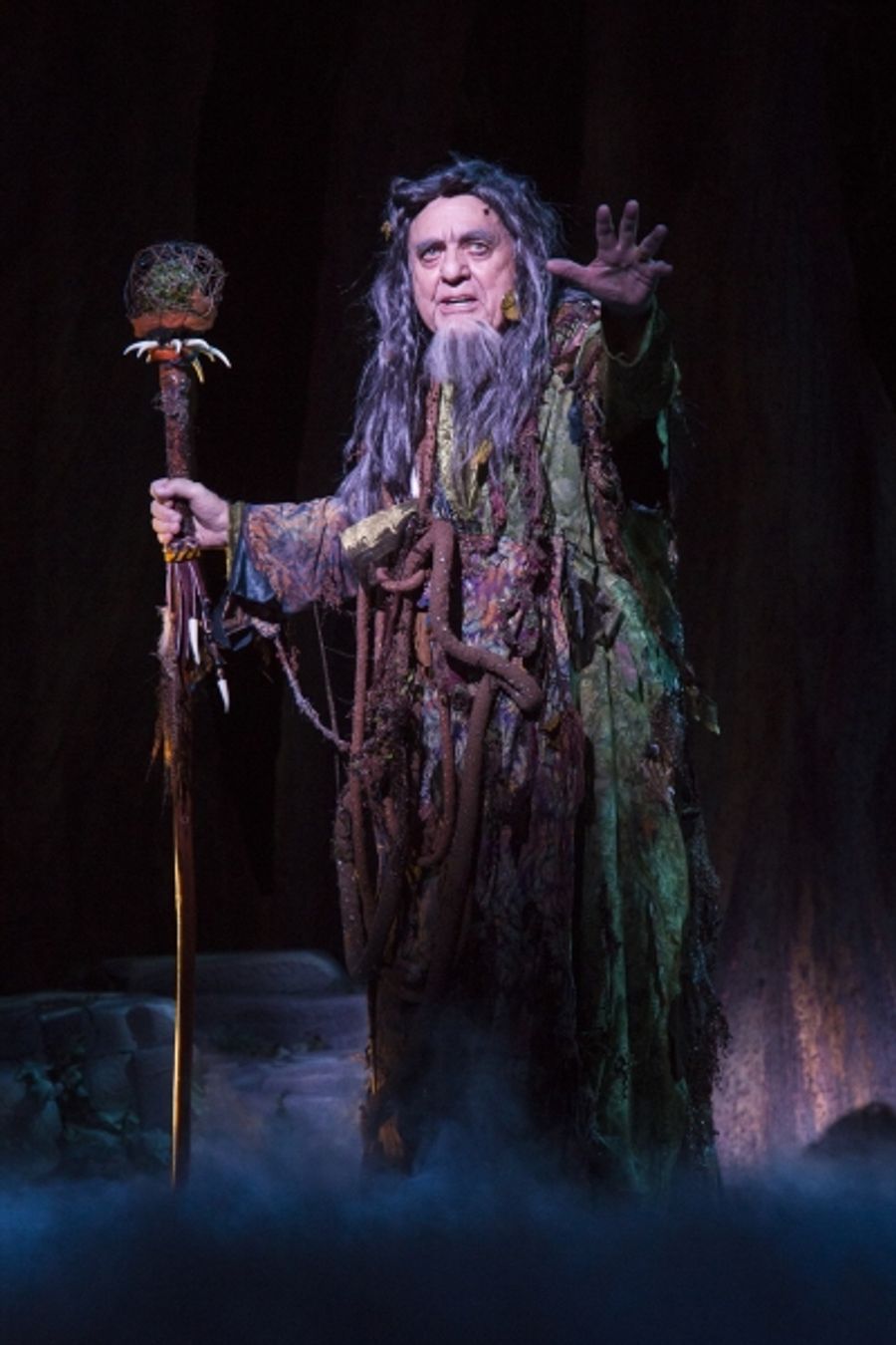 Photo Flash: First Look at Robert Petkoff, Tony Sheldon and More in TUTS' CAMELOT Image