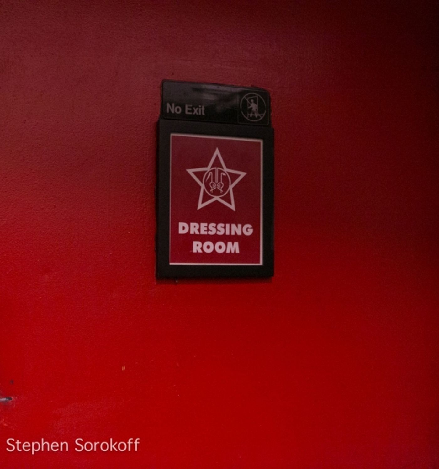 Photo Coverage: Ann Hampton Callaway Brings BRIDGES to Birdland  Image