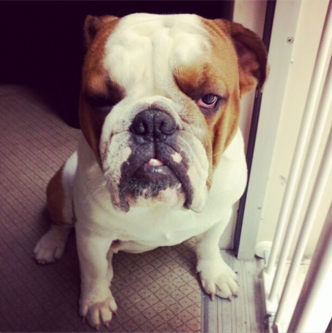 Photo Flash: Saturday Intermission Pics, Jan 26, Part 2 - CINDERELLA's First SIP, EVITA's Saucy 'End' Credit and More!  Image