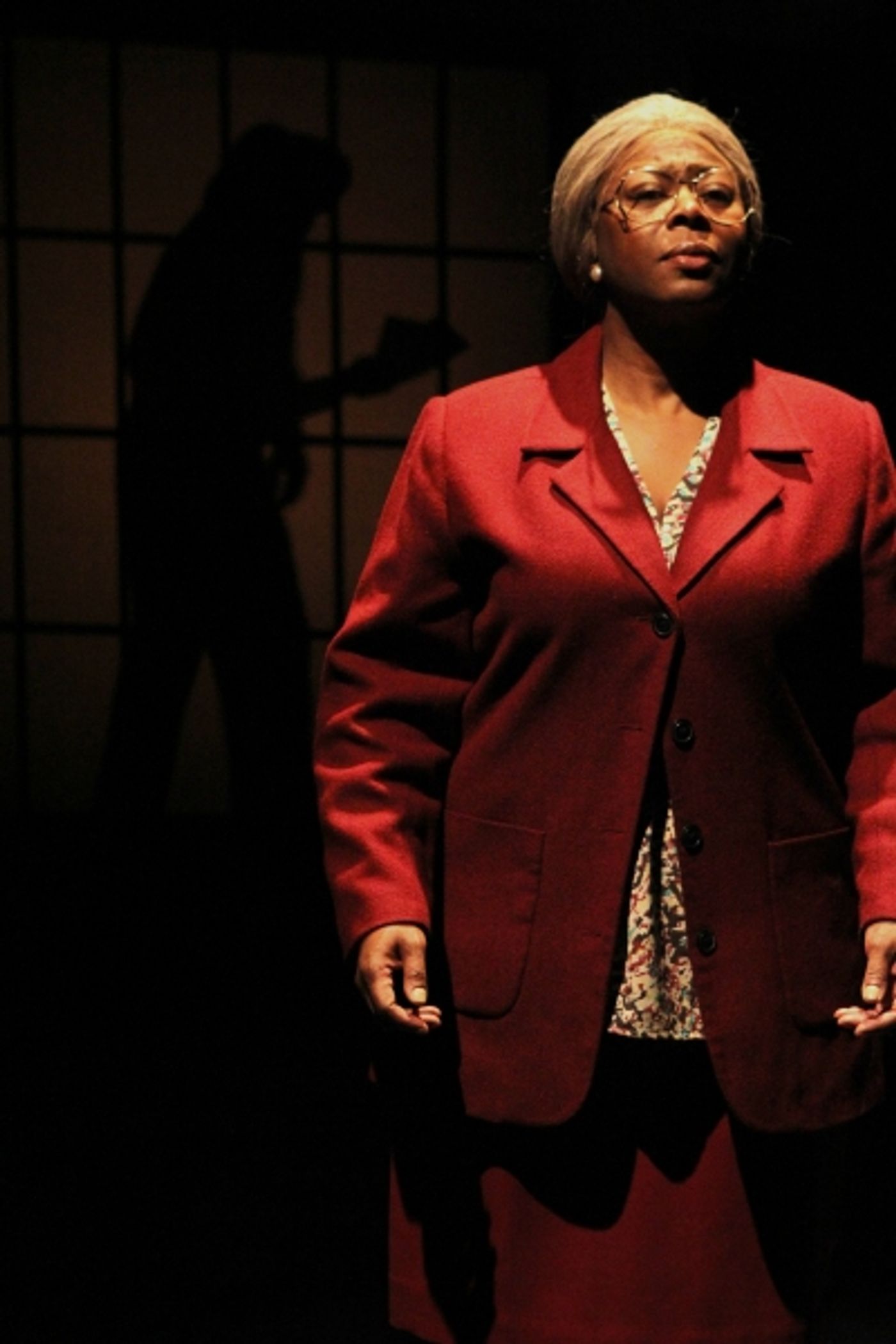 Photo Flash: First Look at History Theatre's NELLIE Photo Flash: First Look at History Theatre's NELLIE Image