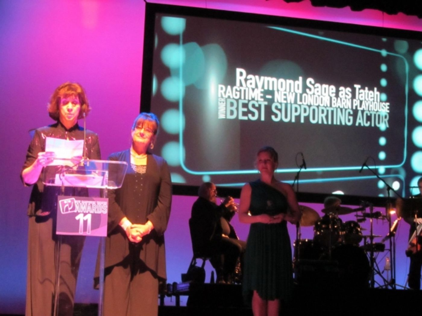 Photo Flash: First Look at New Hampshire Theatre Awards 11  Image