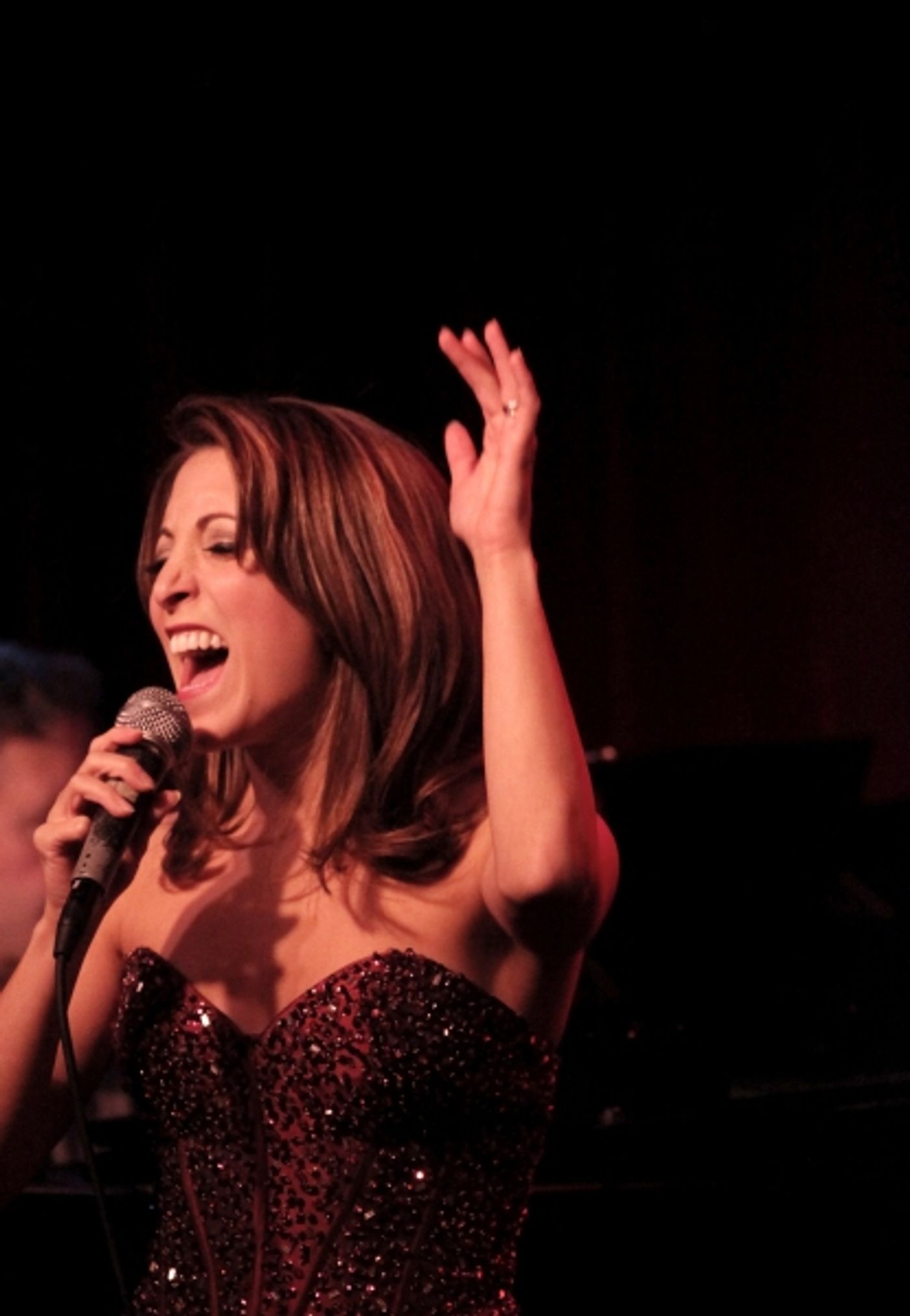 Photo Coverage: Christina Bianco Brings MORE DIVA MOMENTS to Birdland Image