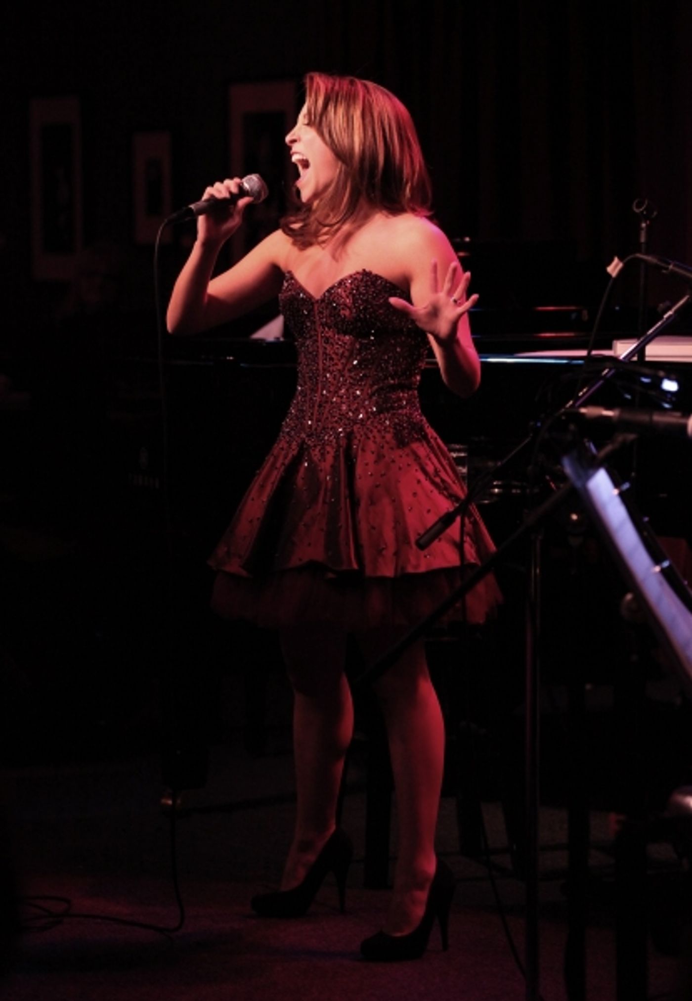 Photo Coverage: Christina Bianco Brings MORE DIVA MOMENTS to Birdland Image